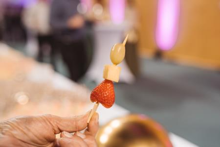 Novoletni_sprejem_Zˇupanja_Ljutomer-58